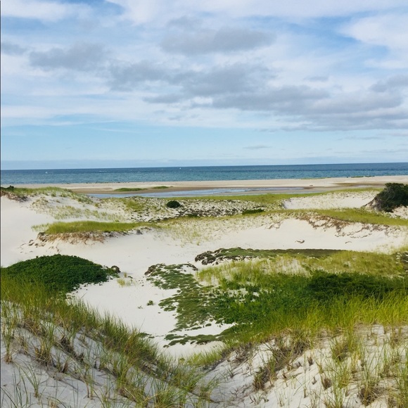 Meet your Posher, Delana - Picture 1 of 1